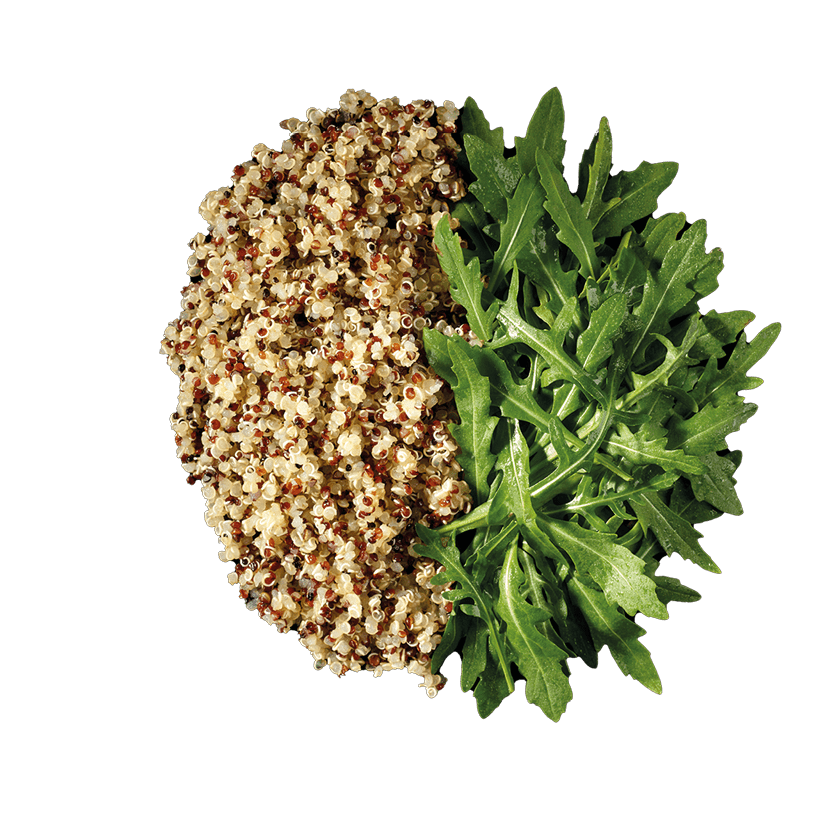 Quinoa Boulgour / Roquette