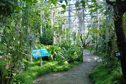 Jardin du Conservatoire Botanique National de Brest